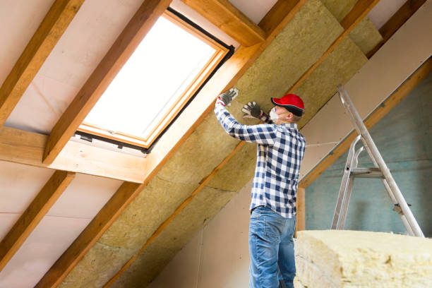 Alexandria, MN Insulation Removal & Installation Company